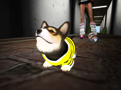 いきだおれ