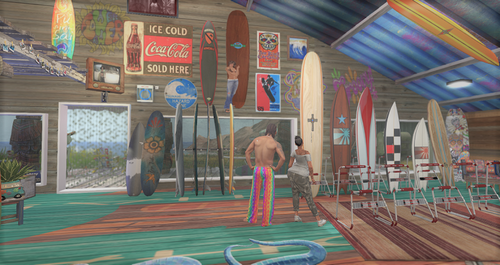 Ilha Do Sol SURF SHOP3 Ilha Do Sol SURF SHOP3