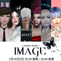 IMAGE Dance Show 1/14