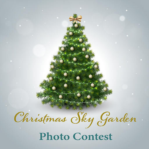Impish Smile Christmas Sky Garden Photo Contest