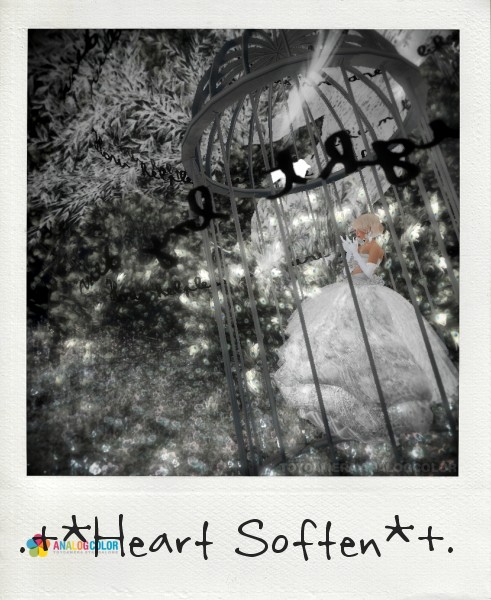 .+*HS*+.さん Thank you Gift