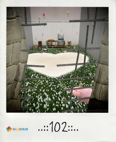 Apartment ①