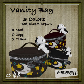 Free Vanity Bag