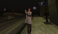 MiraiJapanはSentimentalCity(11)