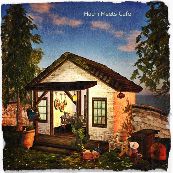 Hachi Meets Cafe