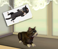 犬を飼い始めましたｗ