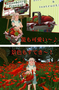 苺を拾いましょ♪（ハント）