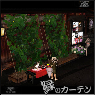ナイス!!ゴーヤ!!緑のカーテンに酔いしれる☆彡