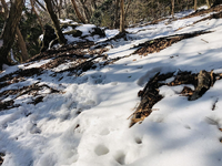 年末年始は山三昧①