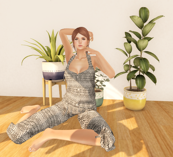 Entice, Nanika Group Gift Entice, Nanika Group Gift