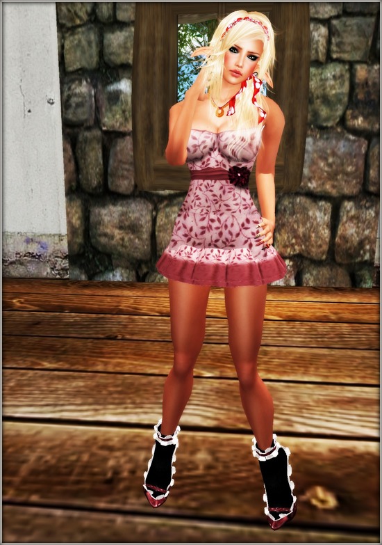 Hunt★The WHIZ No.5