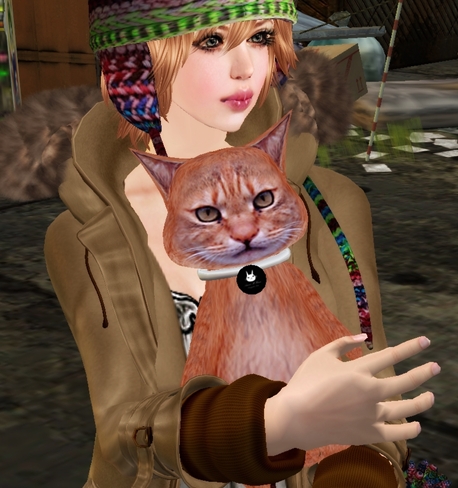 ブサカワすぎるw猫