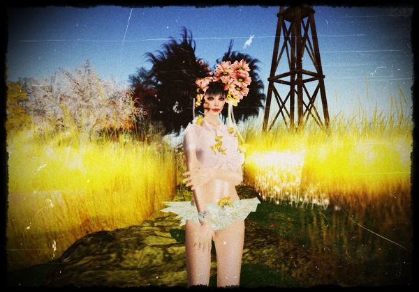 FREE＊anouska