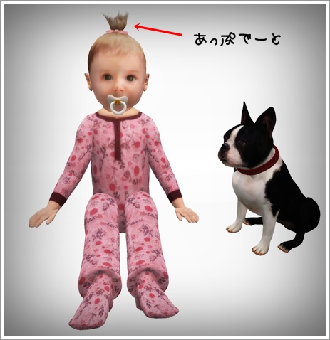 アップデート!!!