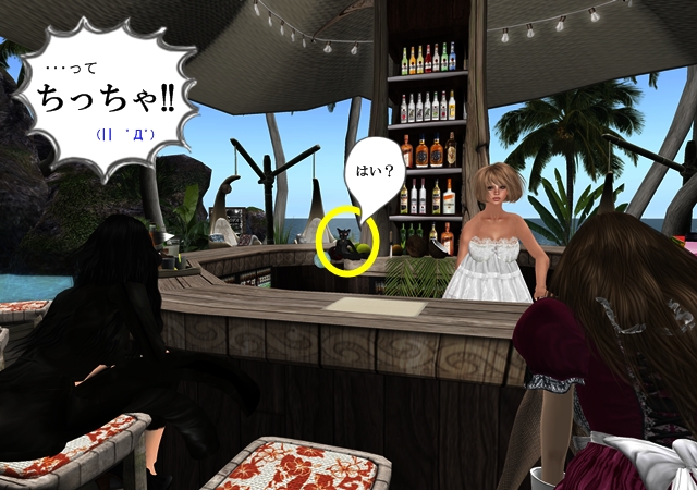 Cafe&Bar SOFA営業日誌