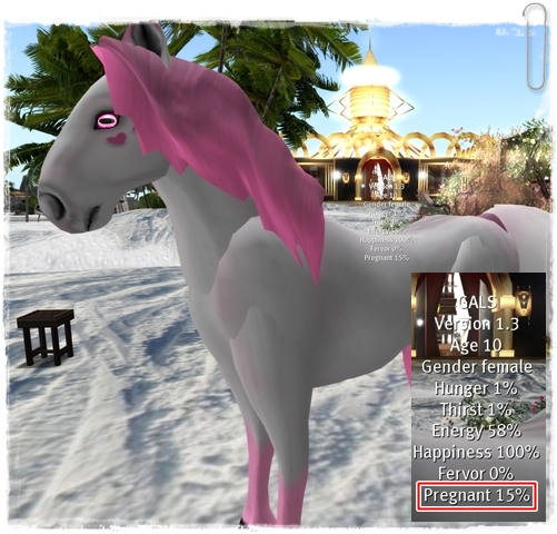 ピンク馬の妊娠