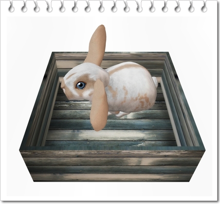 無料Bunny只今追加!!!