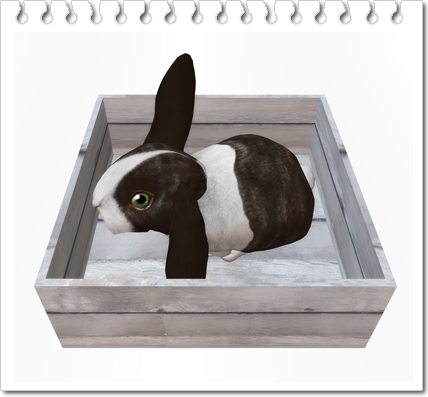 無料Bunny只今追加!!!