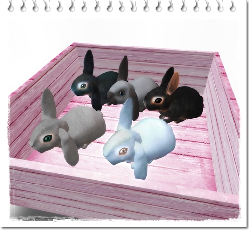 うさぎ無料