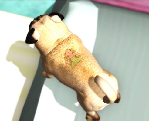 TATTOO犬