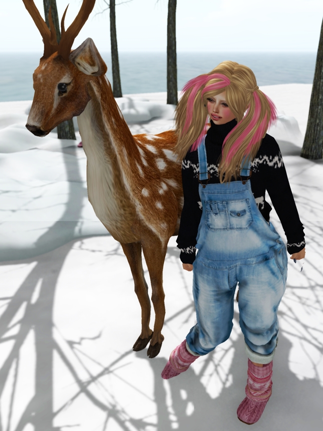 NEW GIFT!!(COCO Designs)