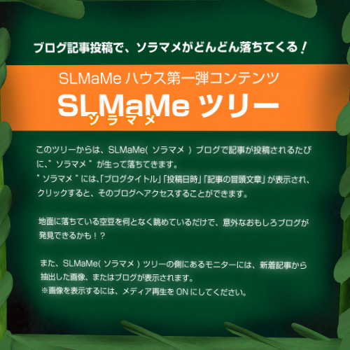 web連動ソラマメの木