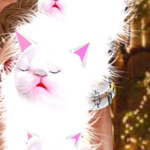 ピンクの猫ファー