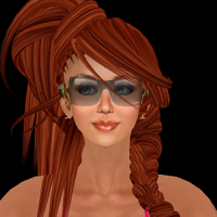 ヘアリスト全50L$