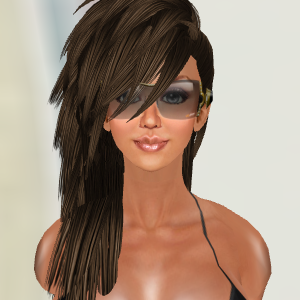 ヘアリスト