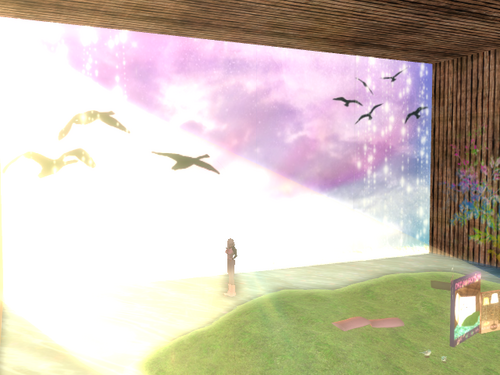 展示販売SKYBOX