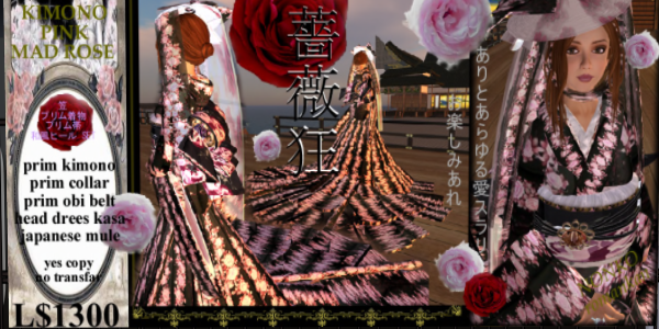 昨夜の着物紹介