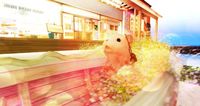 JPK　リニューアルオープン♪　潜入記録②