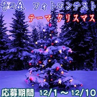 音の森フォトコン【クリスマス】