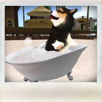bath time