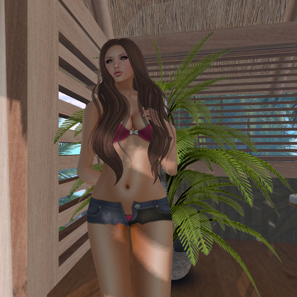 MoDANNA Group Gift