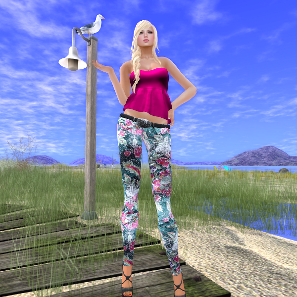 Alys Shop Delia Outfit, GGift
