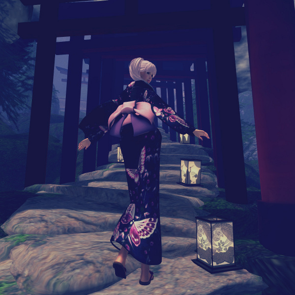 Tetora Yukata Butterfly B8