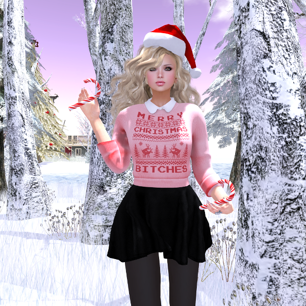 MoDANNA Group Gift
