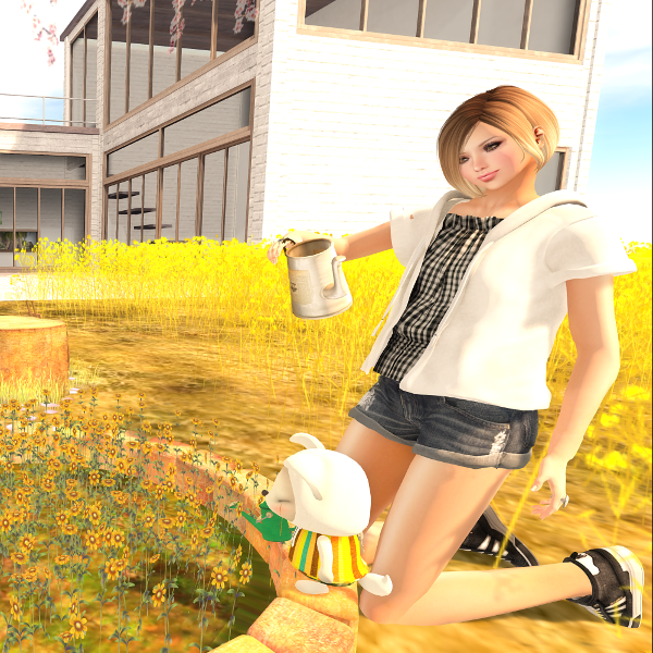 amiable Group Gift