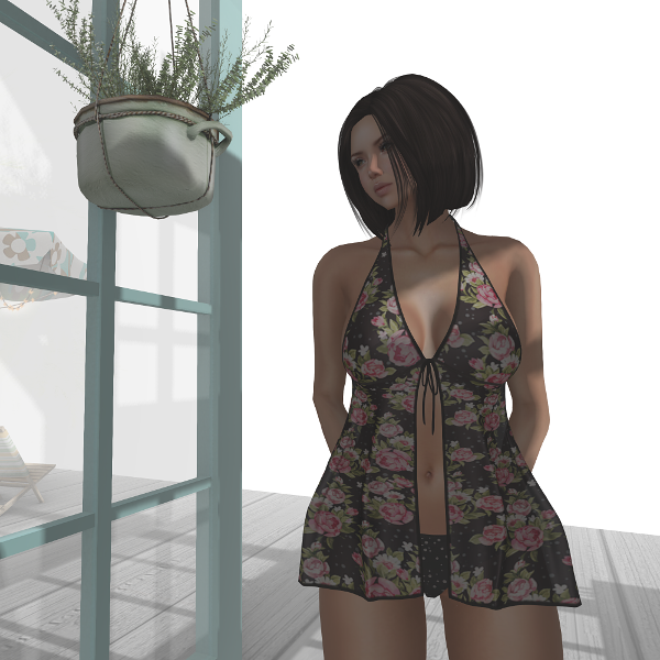 Blacklace Group Gift