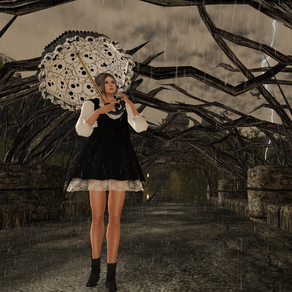 Belle Epoque Group Gift