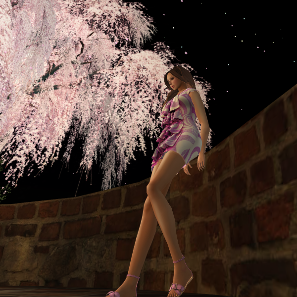 Kamiri SL F&O Group Gift