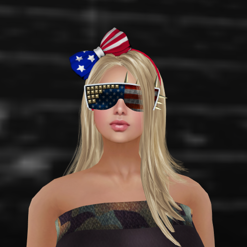 Noodles & NS 4th of July Gift