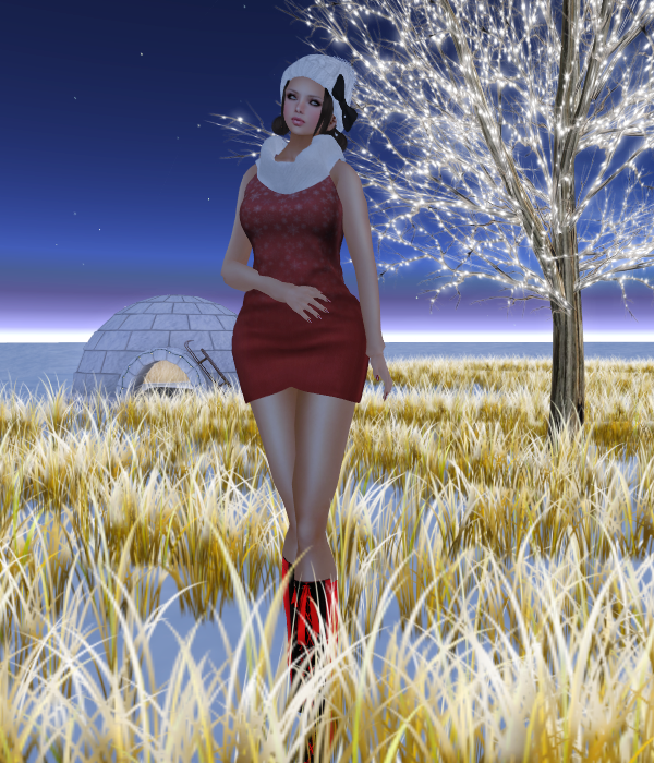 dollle Group Gift