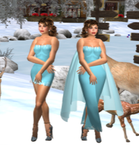 TFH HUNT 71～80