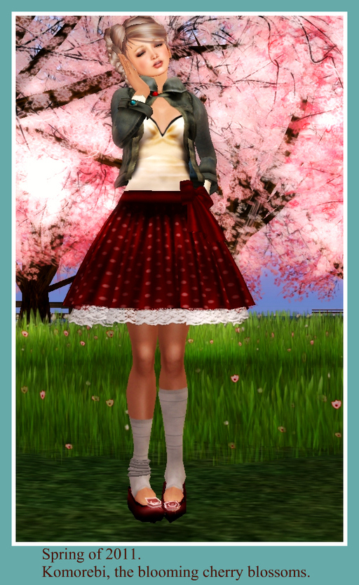 Cherry blossoms