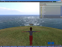 OpenSim
