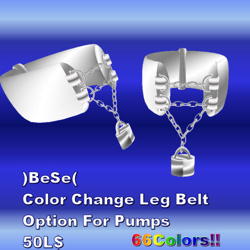 Pumps Belt