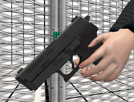 MM SIG P229