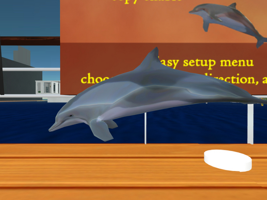 Sculpted Dolphin Shop